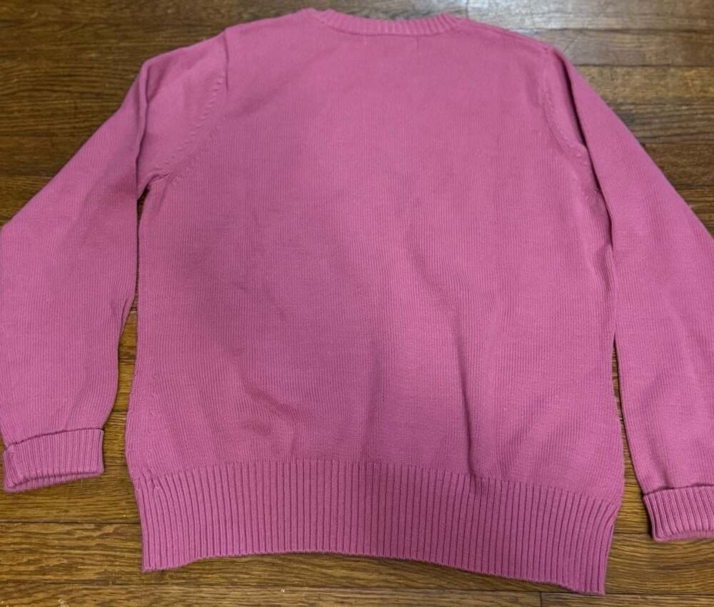 Banana Republic Boys XL Sweater in Pink - Picture 4 of 4